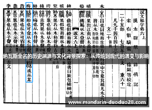 纳瓦斯全名的历史渊源与文化背景探索：从传统到现代的演变与影响