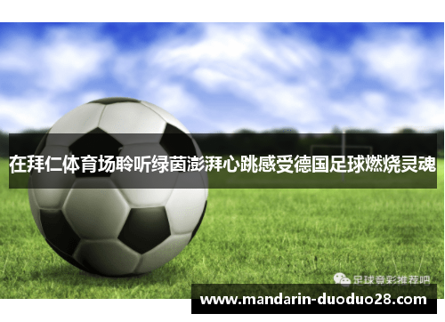 在拜仁体育场聆听绿茵澎湃心跳感受德国足球燃烧灵魂