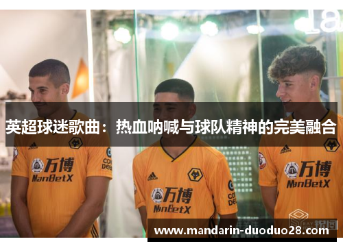 英超球迷歌曲:热血呐喊与球队精神的完美融合 英超球迷歌曲:热血呐喊与球队精神的完美融合