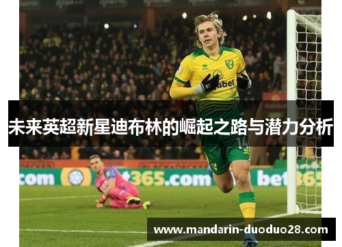 未来英超新星迪布林的崛起之路与潜力分析 未来英超新星迪布林的崛起之路与潜力分析