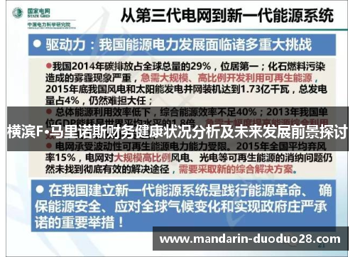 横滨F·马里诺斯财务健康状况分析及未来发展前景探讨