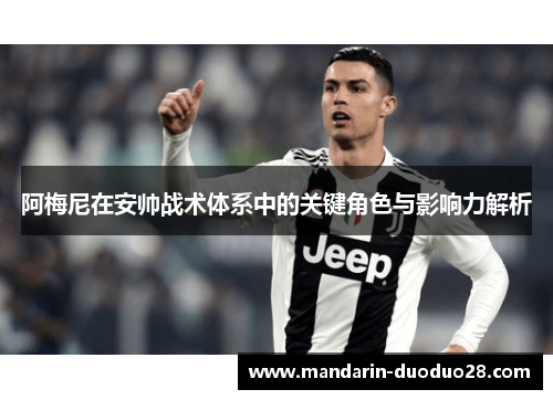 阿梅尼在安帅战术体系中的关键角色与影响力解析 阿梅尼在安帅战术体系中的关键角色与影响力解析
