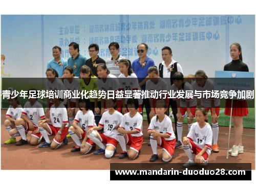 青少年足球培训商业化趋势日益显著推动行业发展与市场竞争加剧 青少年足球培训商业化趋势日益显著推动行业发展与市场竞争加剧